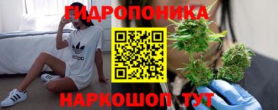 спайс Нальчик
