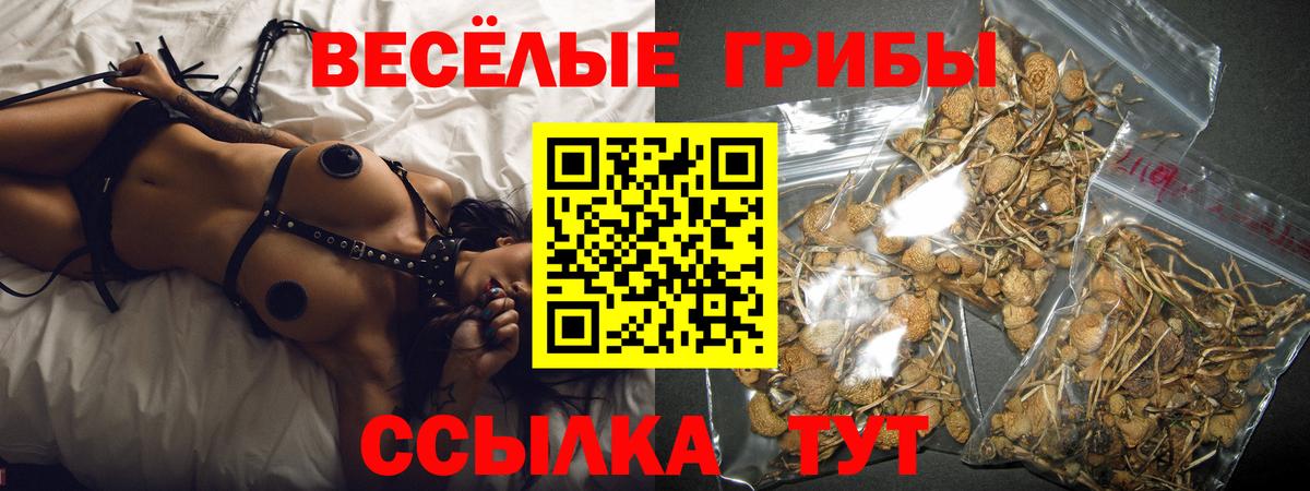 Гашиш Чапаевск